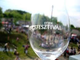 Etyeki buli KSZJ Kollégánál 2008 2.