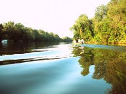 2008.G.Zolival Tiszánál a birtokon