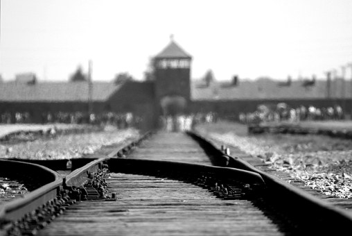 2007. Auswitz film