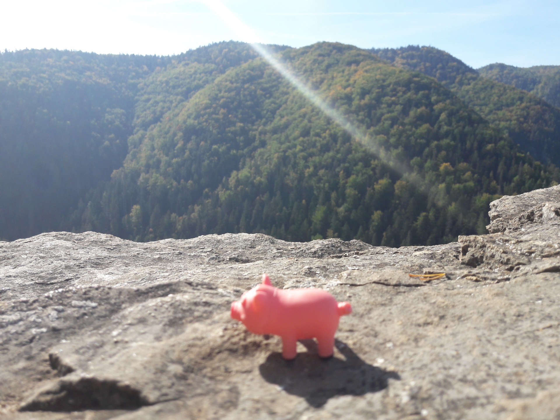 2018. Szlovák paradicsom képek